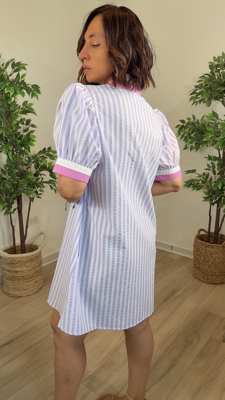Emitir Mini Dress