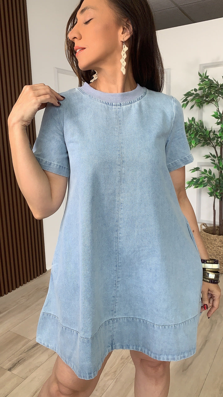 Ribera Denim Mini Dress