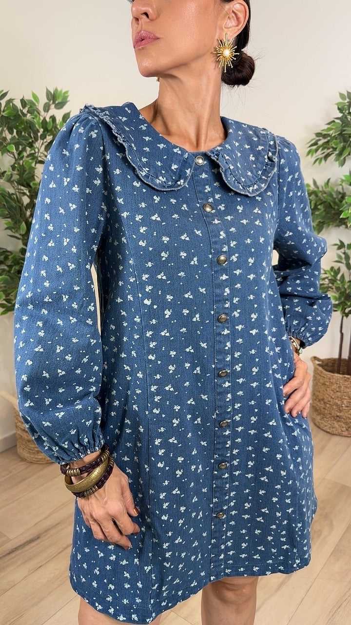 Pureza Denim Mini Dress