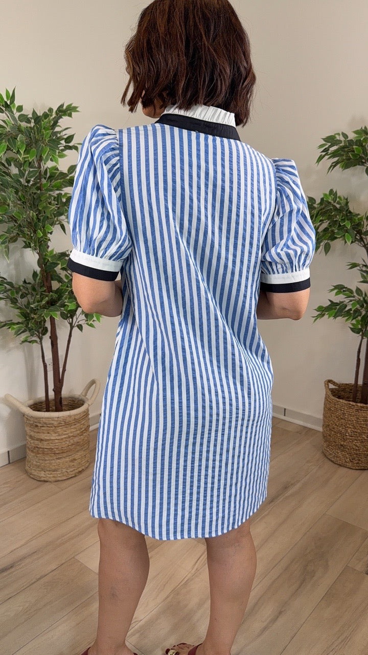 Guarida Mini Dress