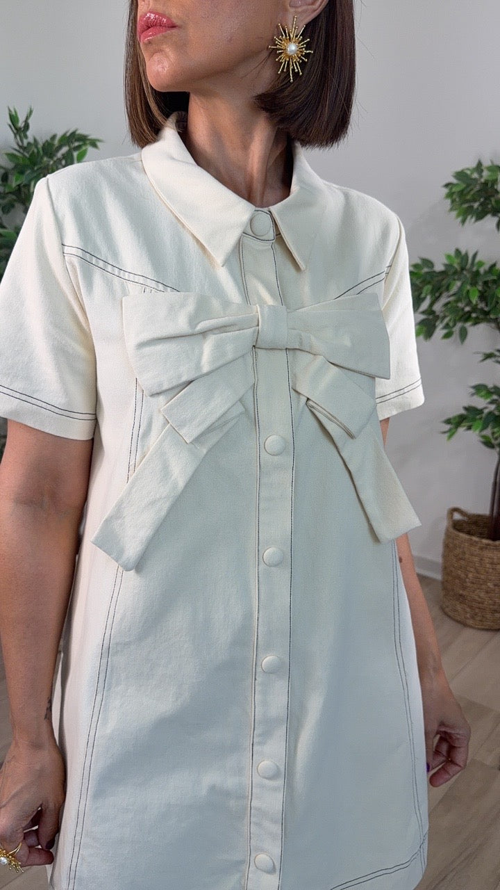 Divino Denim Mini Dress