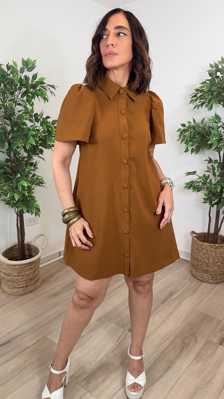 Fehaciente Mini Dress