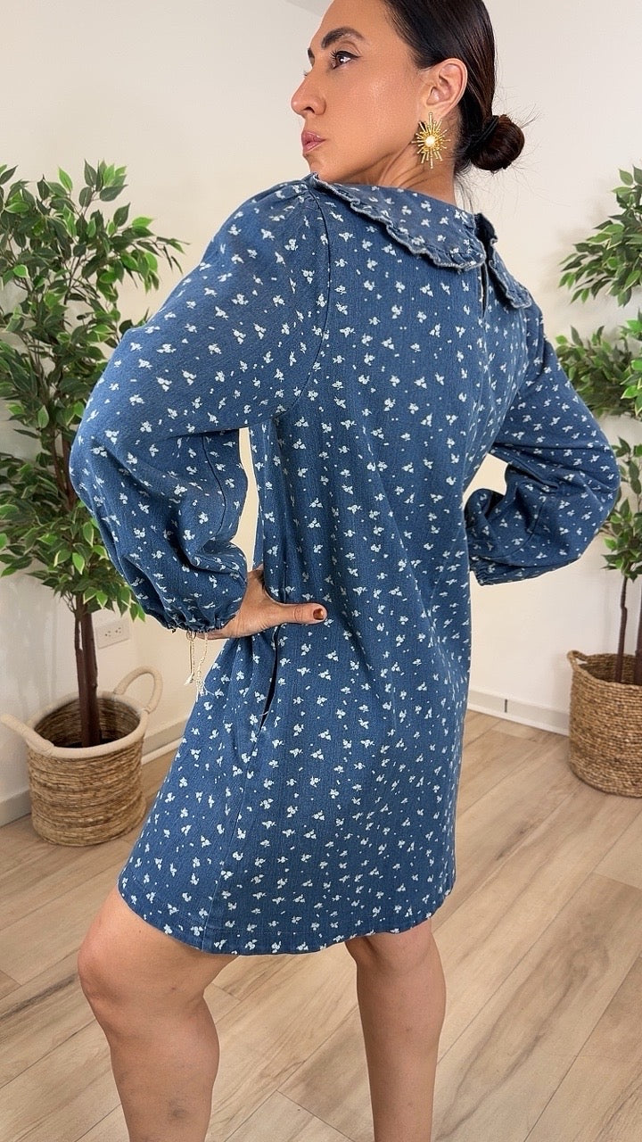 Pureza Denim Mini Dress