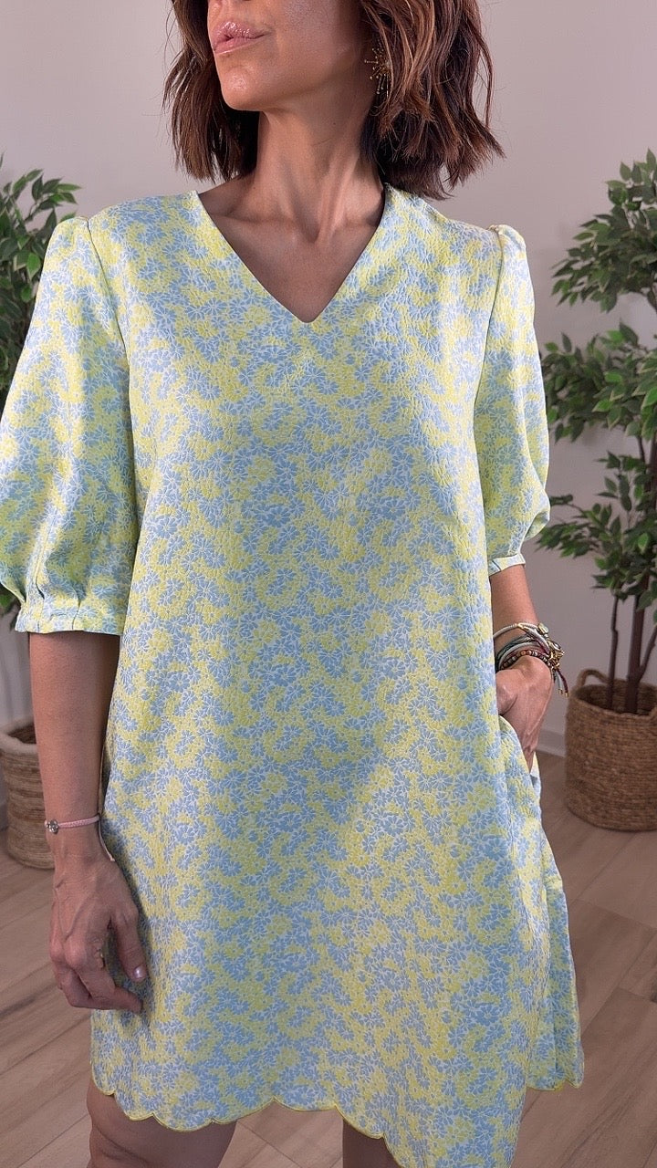 Brillo Mini Dress