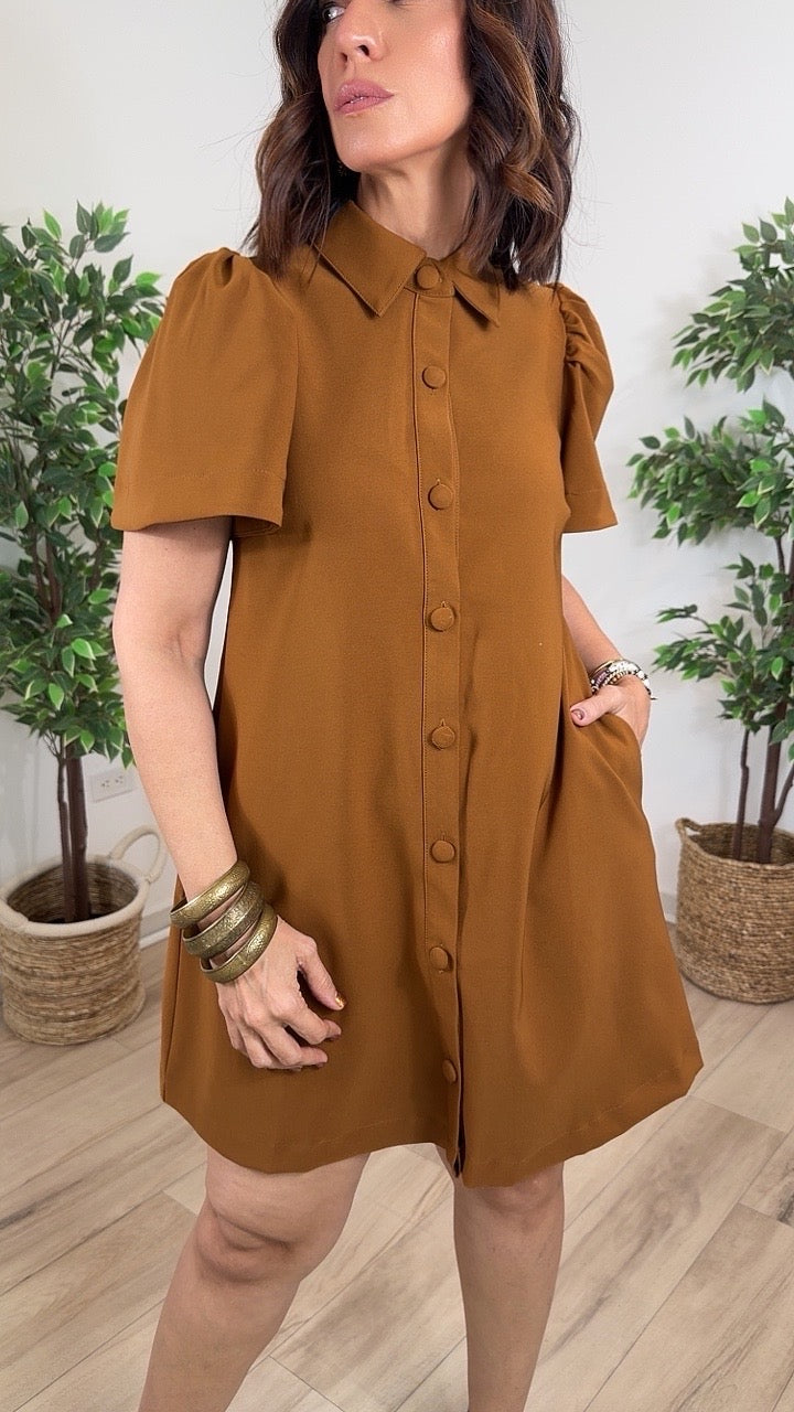 Fehaciente Mini Dress