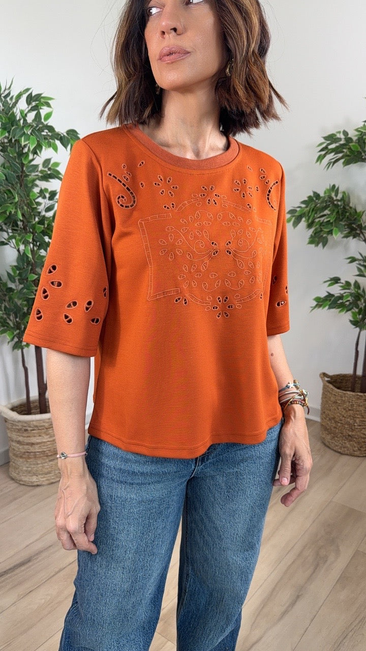 Notable Copper Top