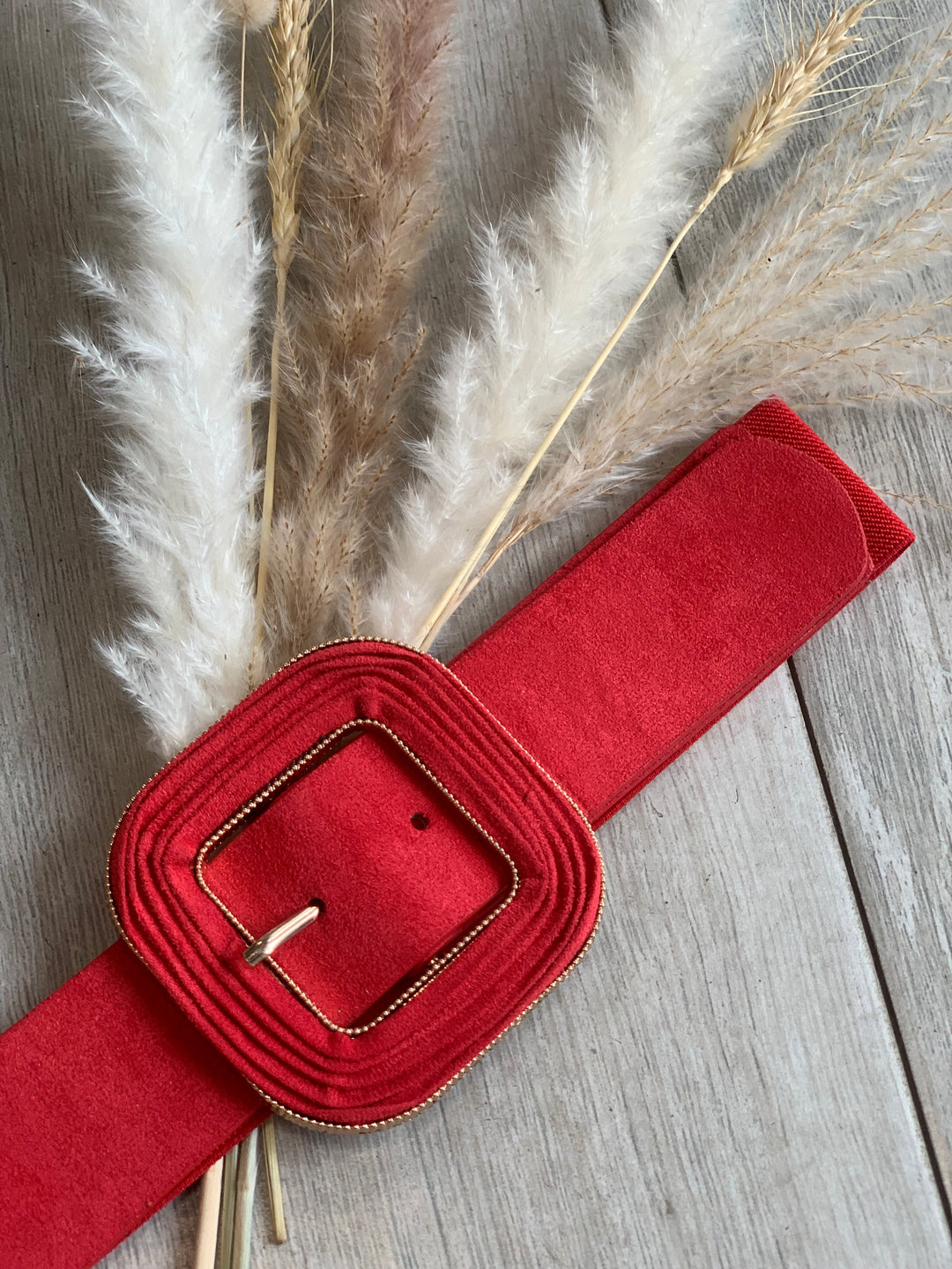 Red Elastic Belt