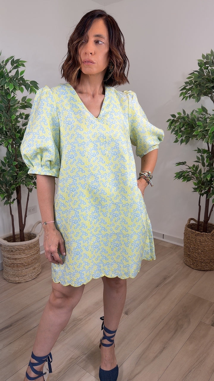 Brillo Mini Dress
