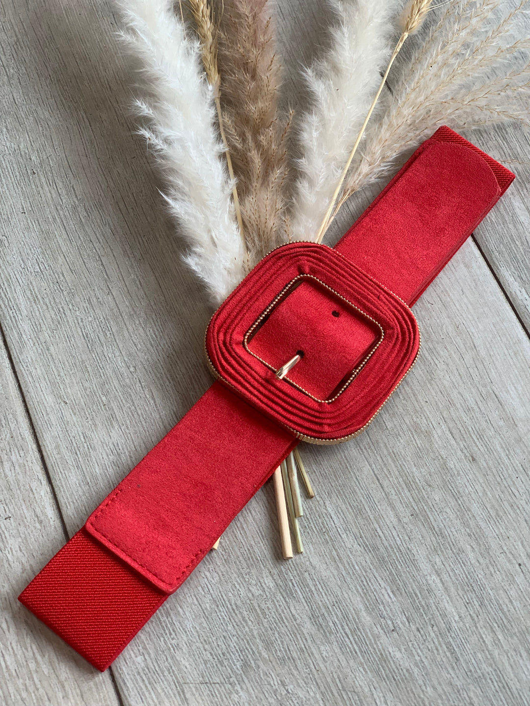 Red Elastic Belt