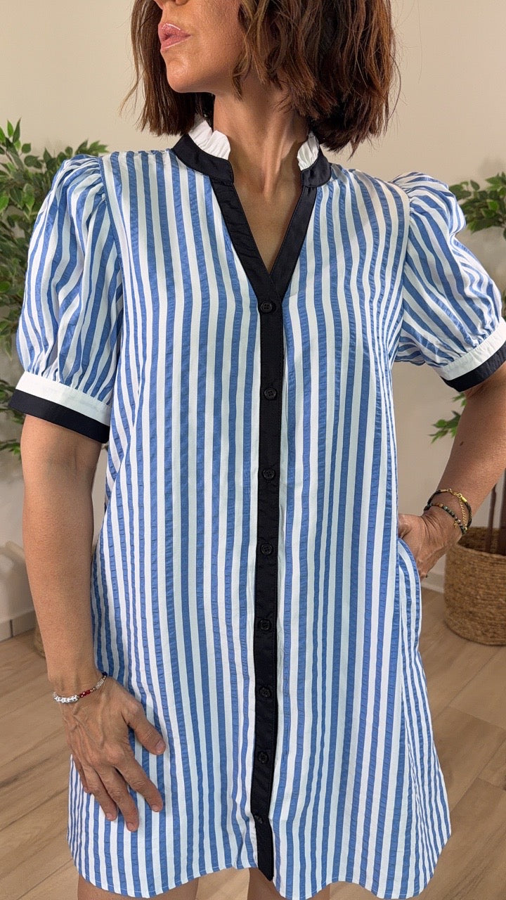 Guarida Mini Dress