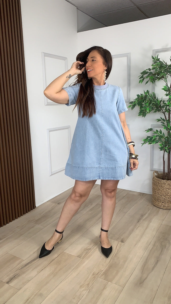 Ribera Denim Mini Dress